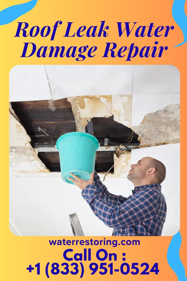 Roof Leak Water Damage Repair in Meadville, MO